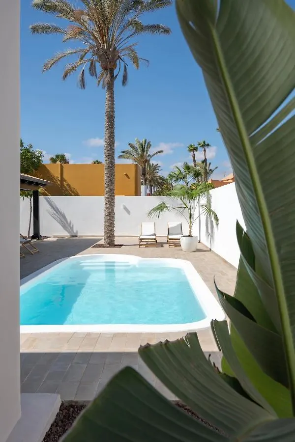 Villa Tropico - Design House With Pool In Corralejo