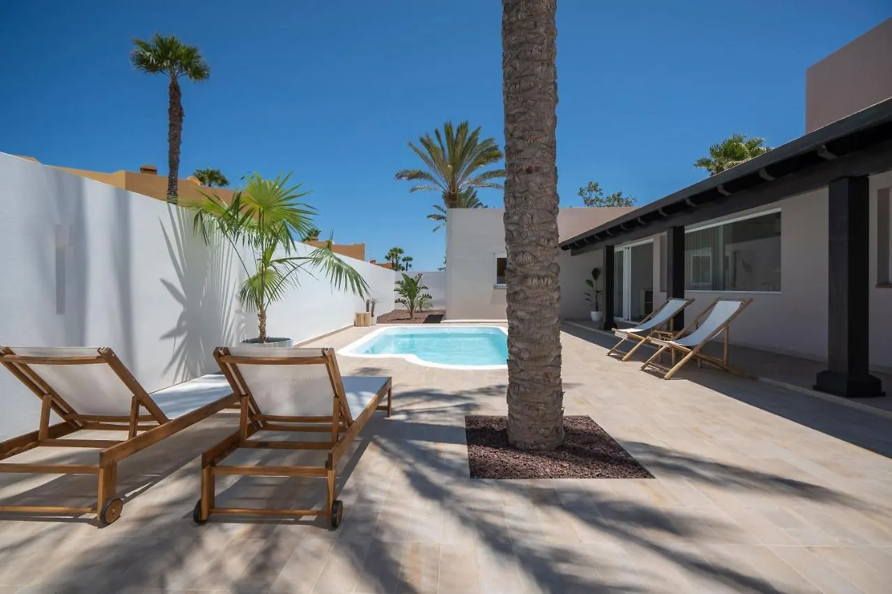 Villa Tropico - Design House With Pool In Corralejo